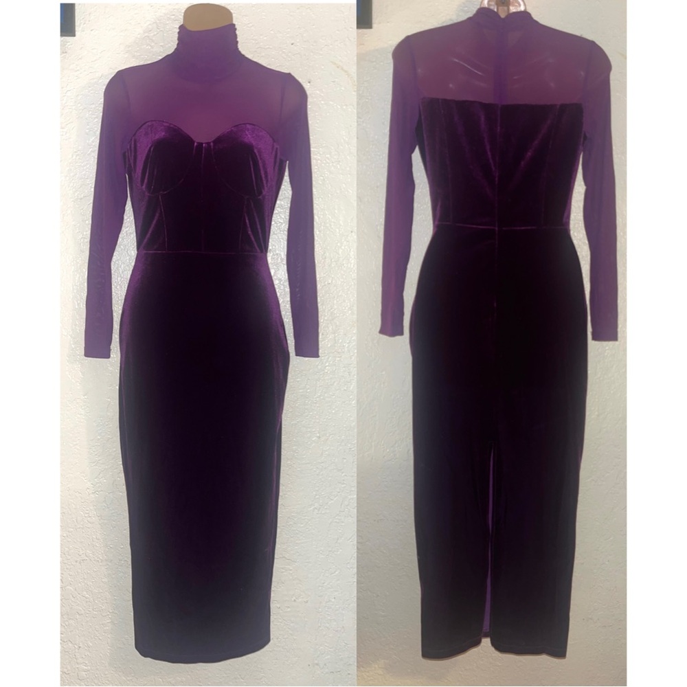 Purple Velvet and Sheer Dress